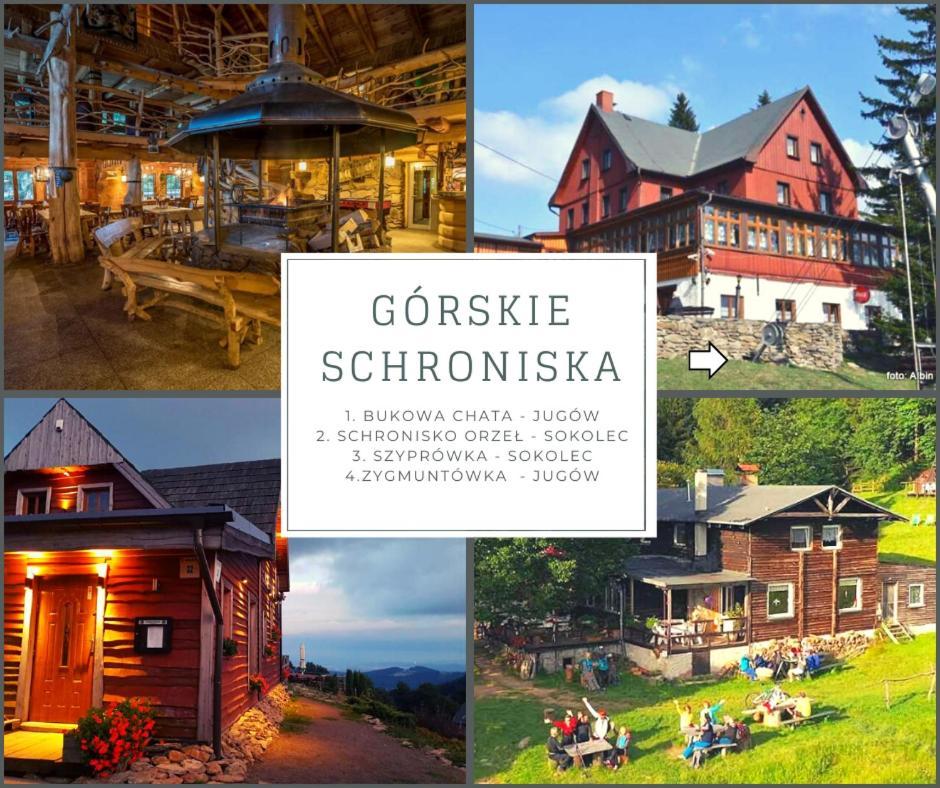 Klimatyczny Apartament Nr 8 Z Widokiem Na Gory Sowie Белява Экстерьер фото