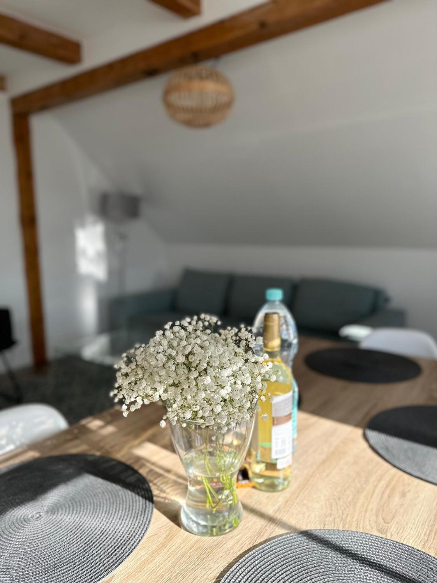 Klimatyczny Apartament Nr 8 Z Widokiem Na Gory Sowie Белява Экстерьер фото